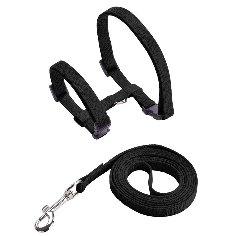 Adjustable Pet Harness & Leash Set