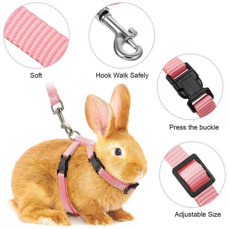 Adjustable Pet Harness & Leash Set