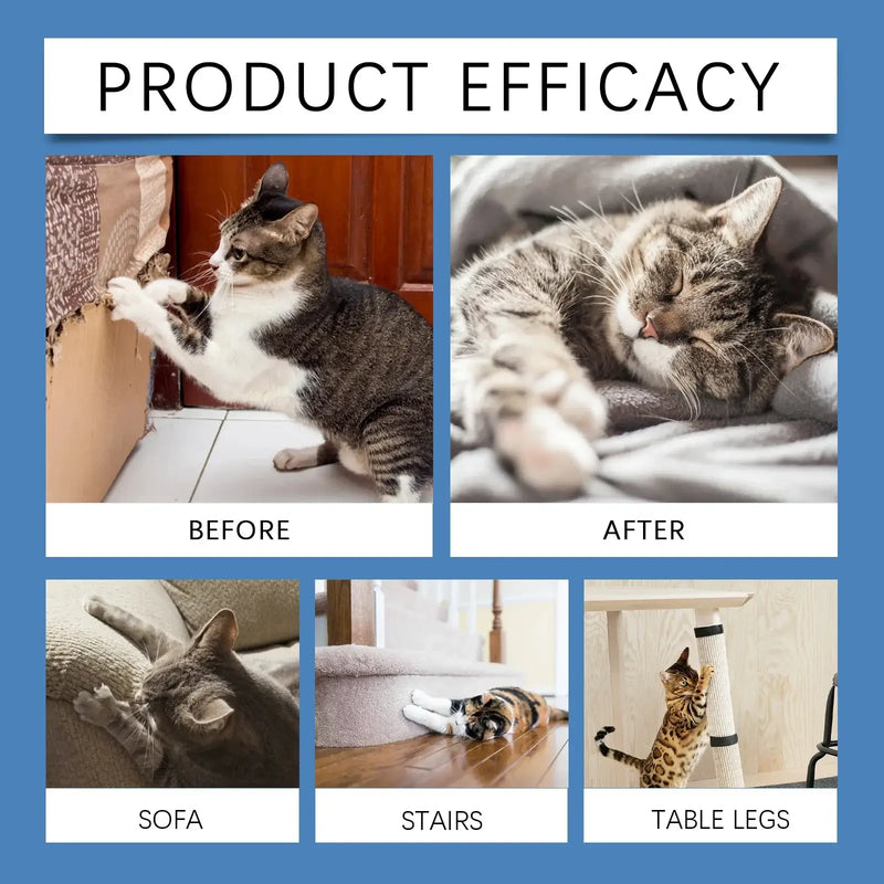 Pet Anti-Scratch Training Spray