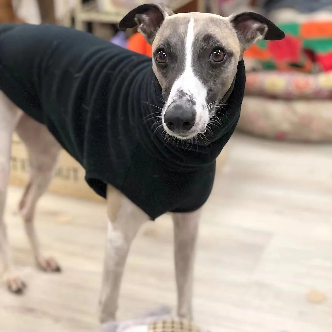 Fleece Turtleneck Dog Vest