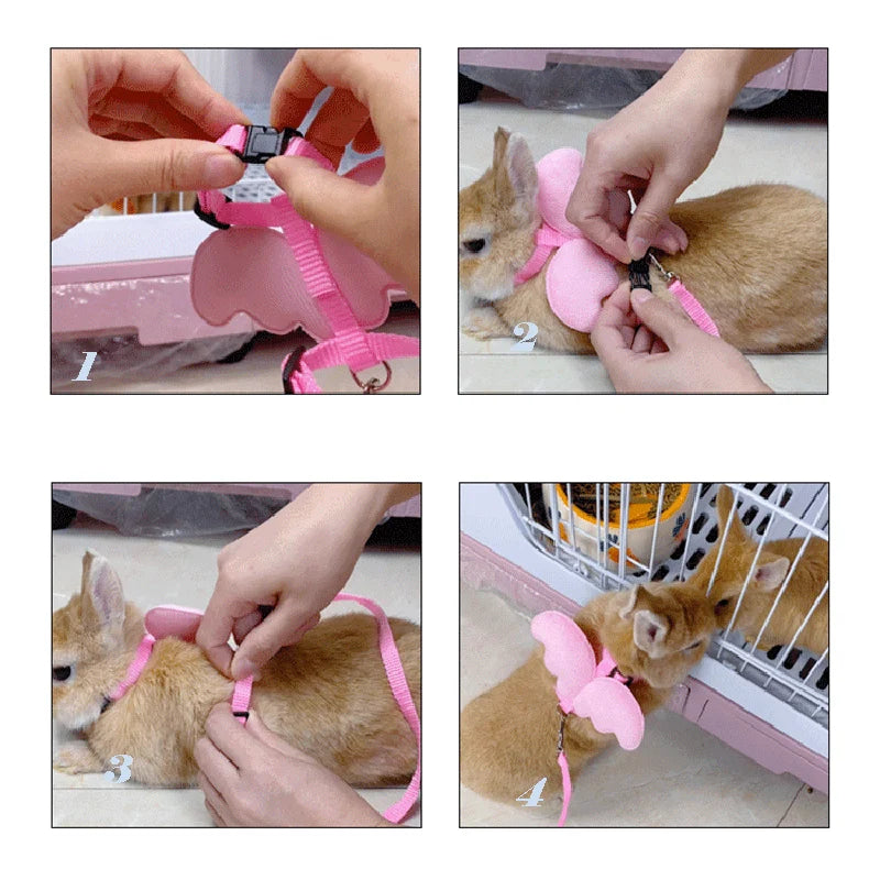 Angel Wing Pet Harness Leash Set