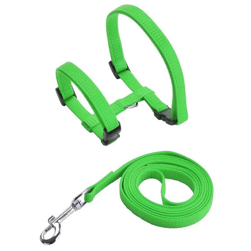 Adjustable Pet Harness & Leash Set