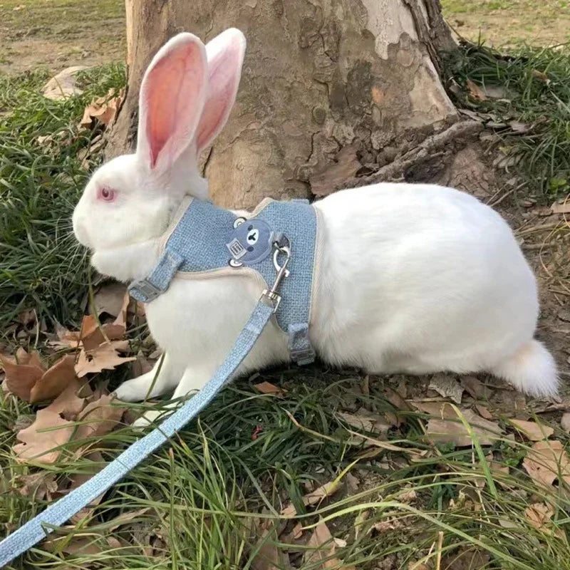 Padded Rabbit Harness & Leash Set
