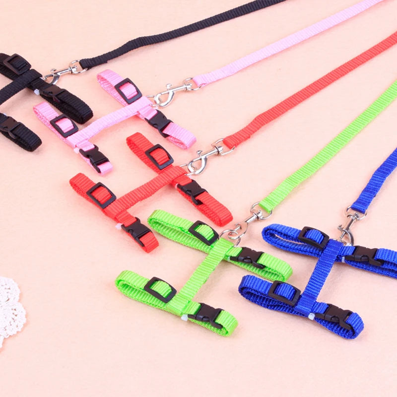 Adjustable Pet Harness & Leash Set