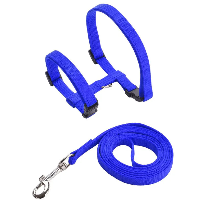 Adjustable Pet Harness & Leash Set