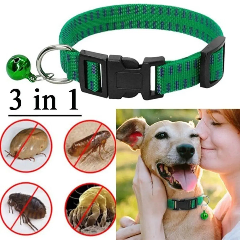 Adjustable Anti-Flea & Tick Dog Collar
