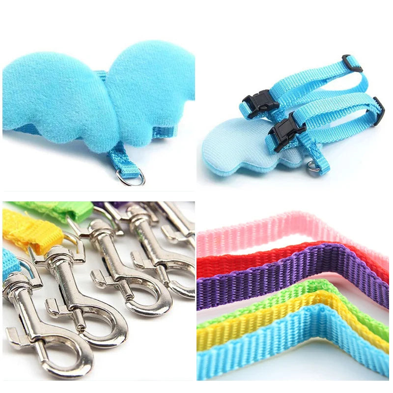 Angel Wing Pet Harness Leash Set