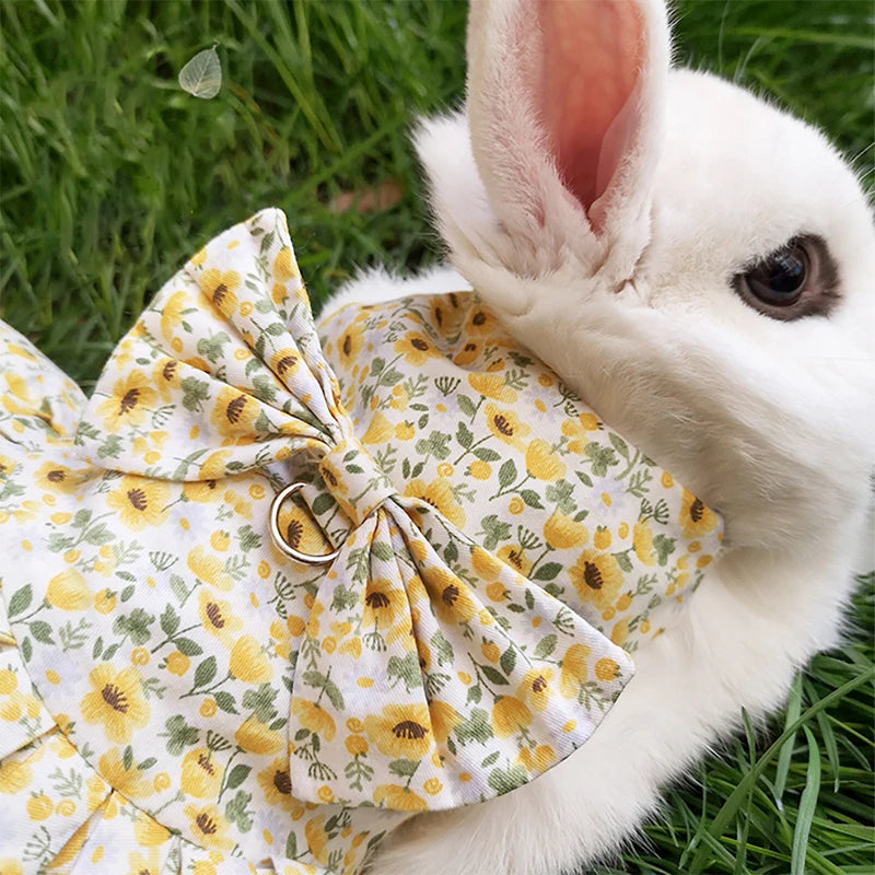 Cotton Rabbit Harness Dress & Leash