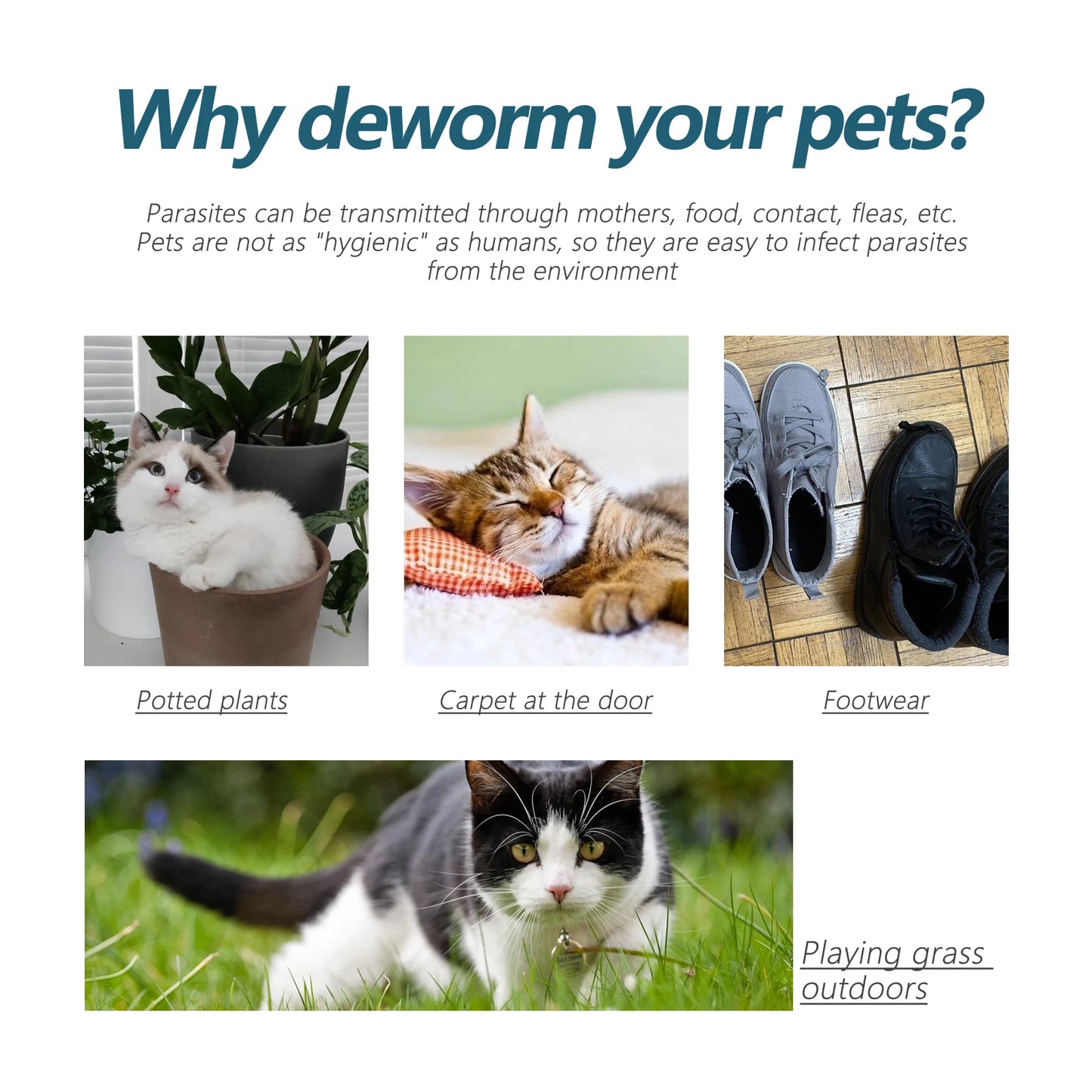 Flea & Tick Control Liquid for Pets