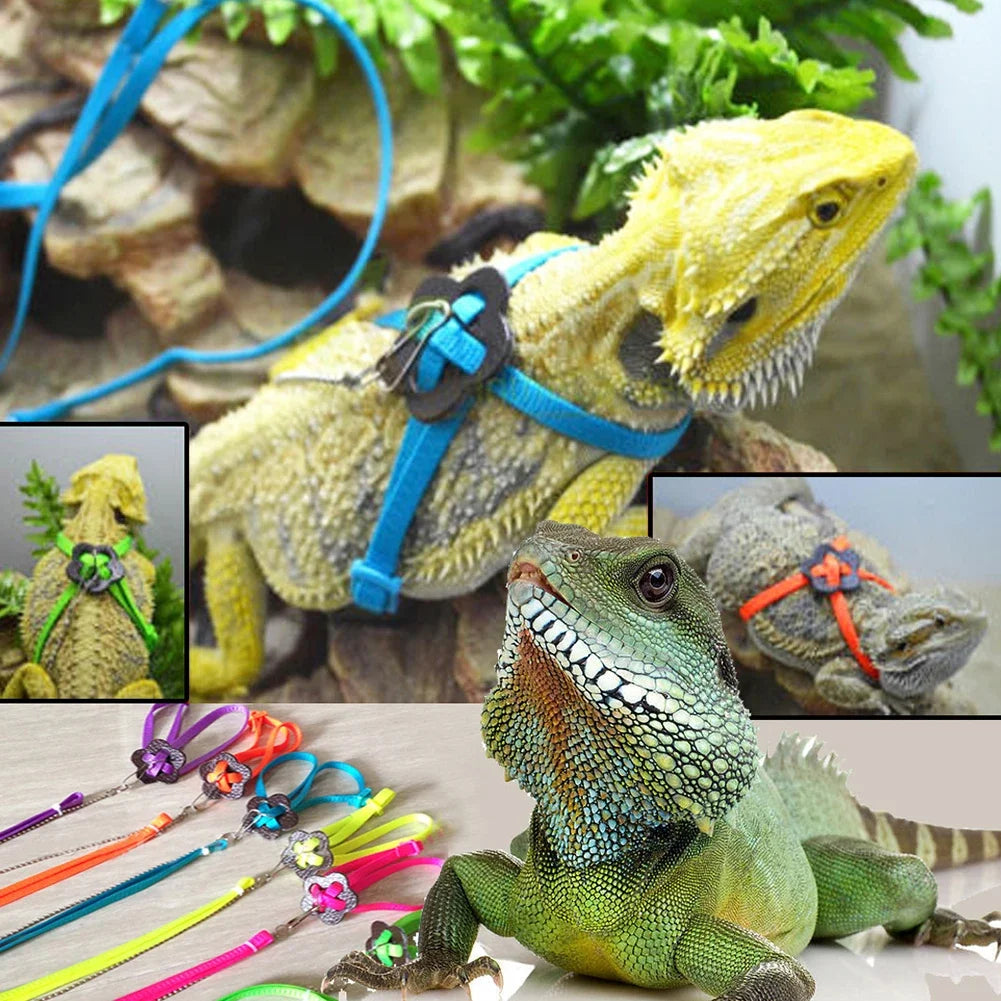 Adjustable Lizard Harness Leash