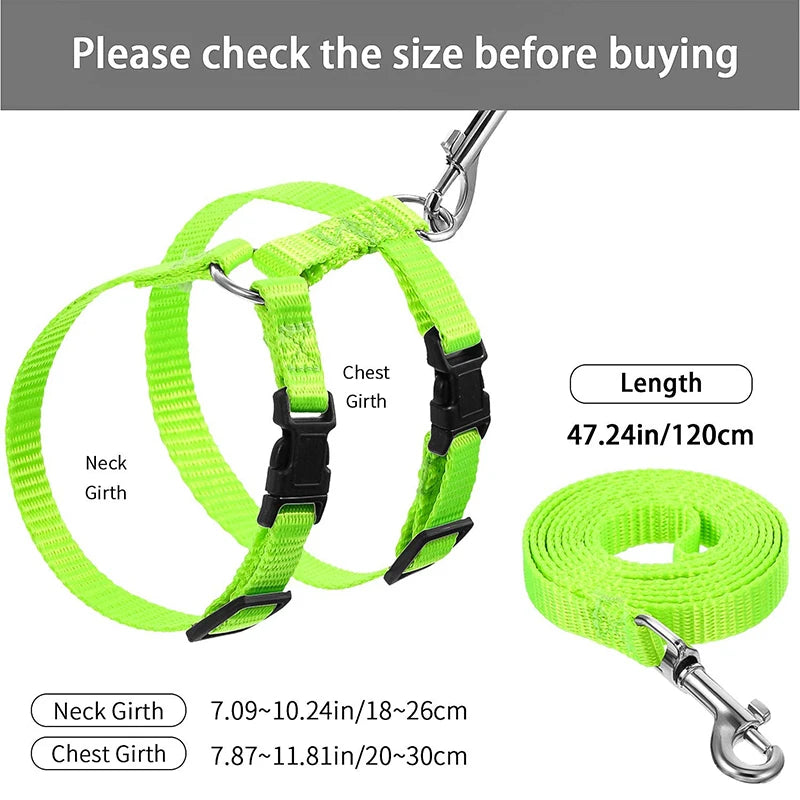 Adjustable Pet Harness & Leash Set