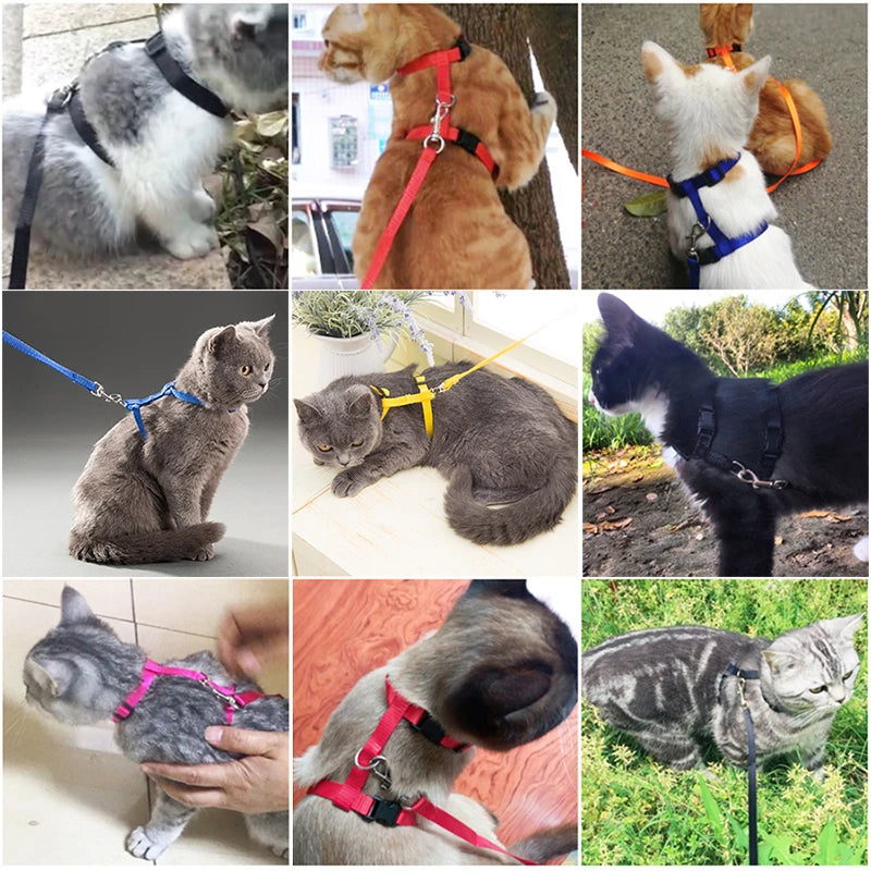 Adjustable Pet Harness & Leash Set