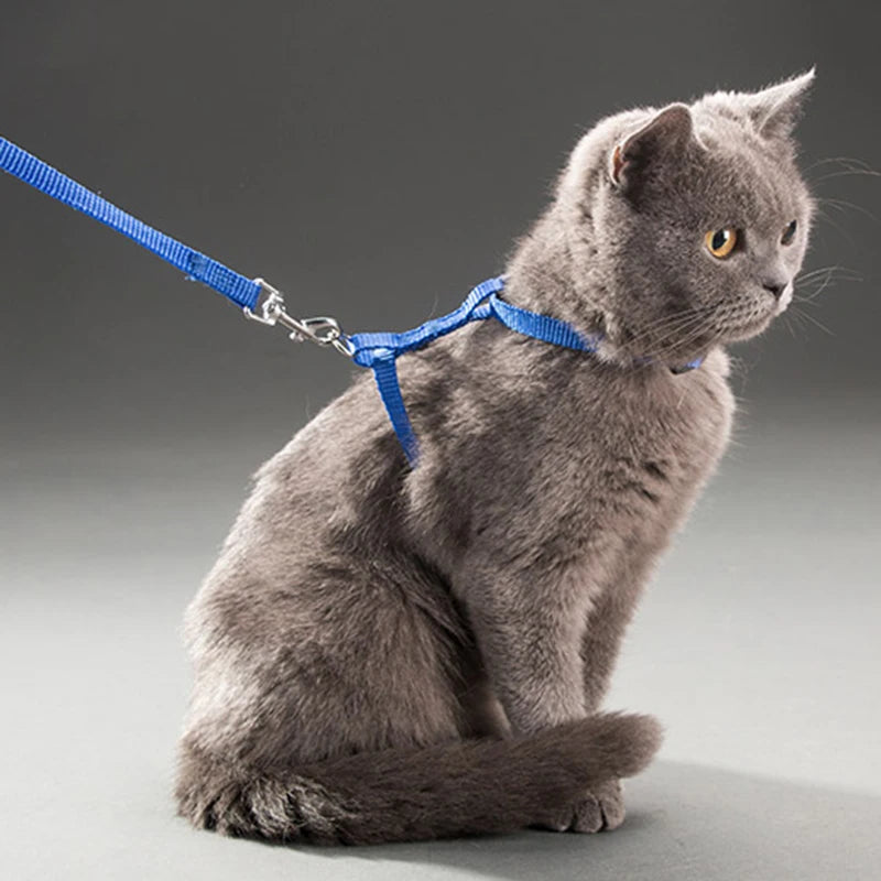 Adjustable Pet Harness & Leash Set