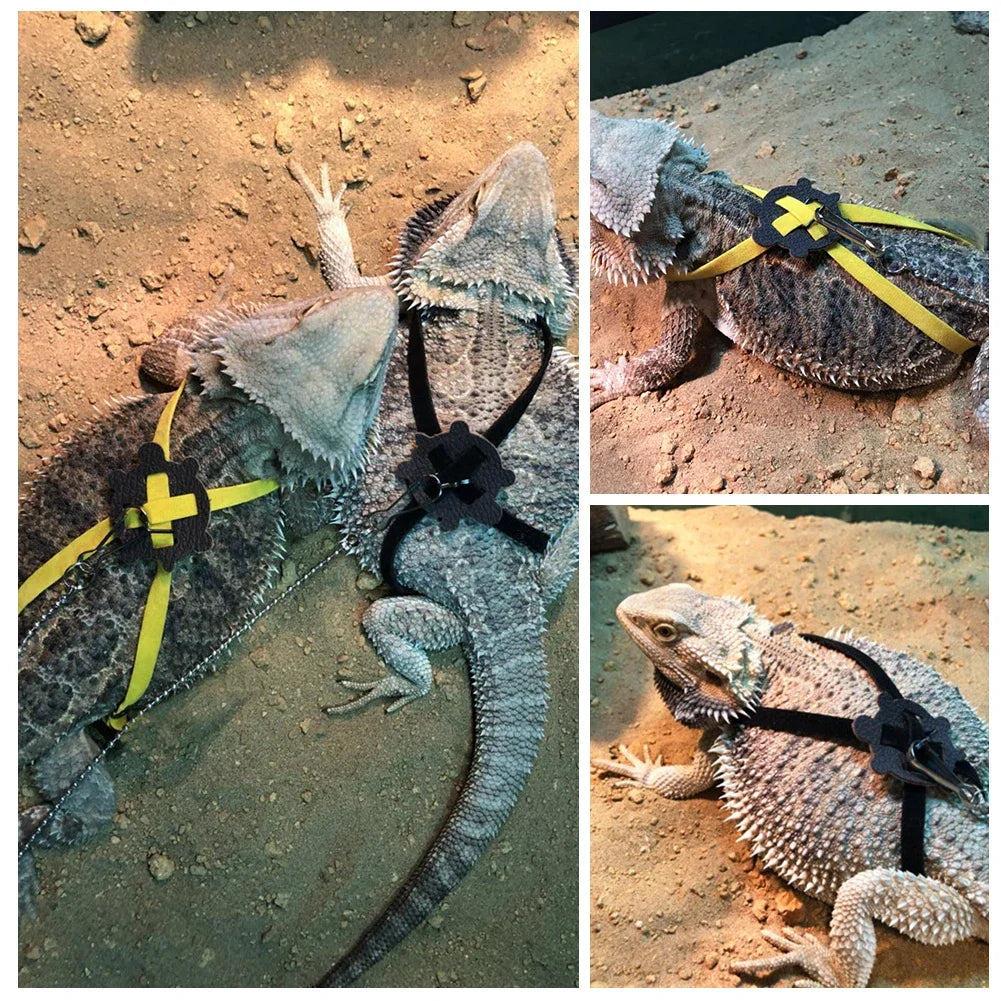Adjustable Lizard Harness Leash
