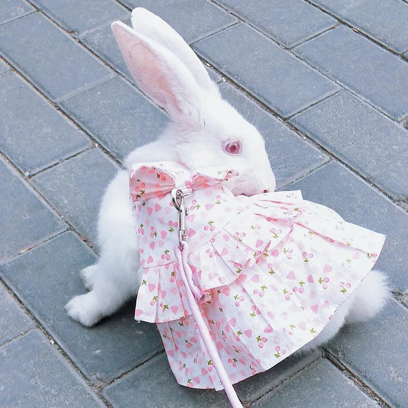 Cotton Rabbit Harness Dress & Leash