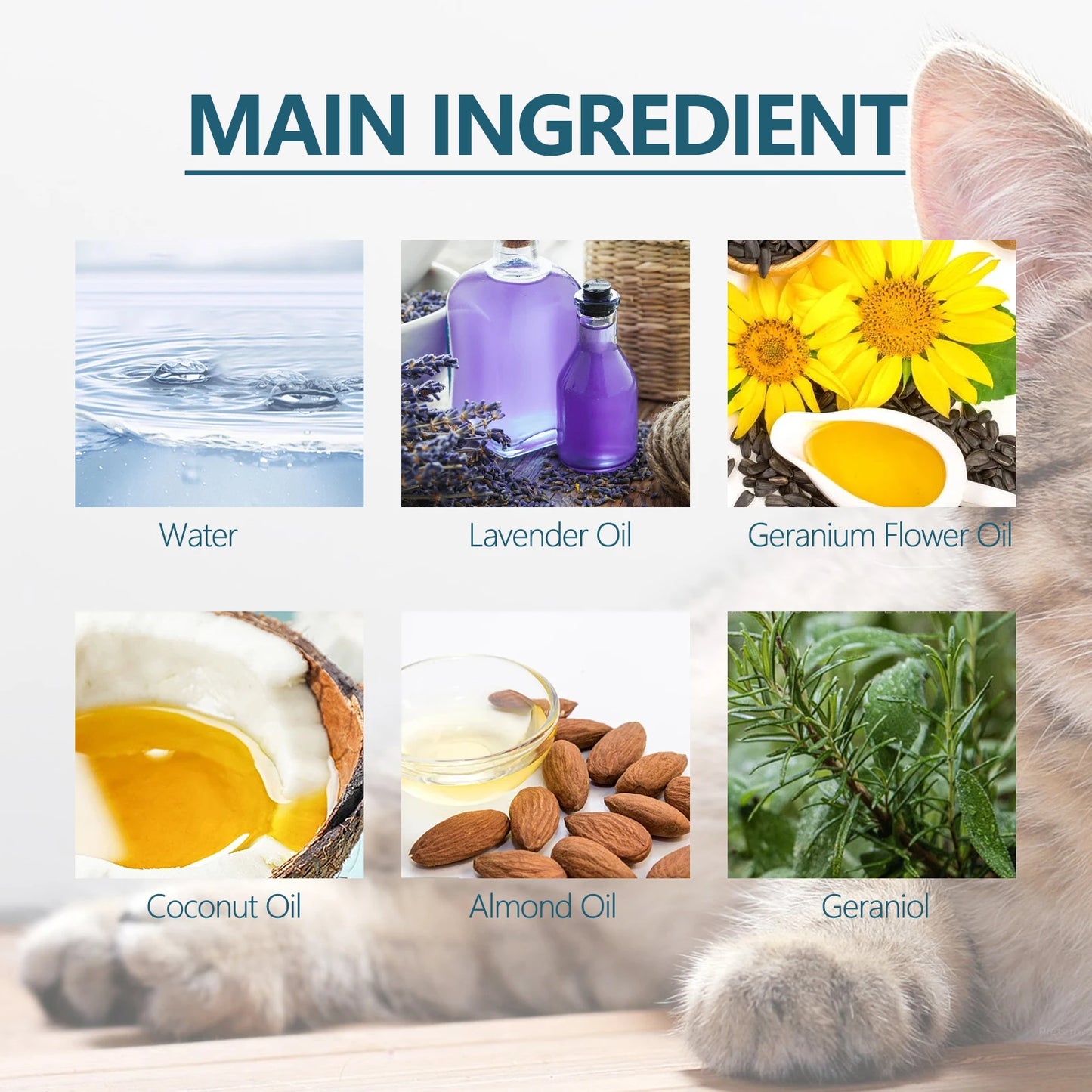 Flea & Tick Control Liquid for Pets