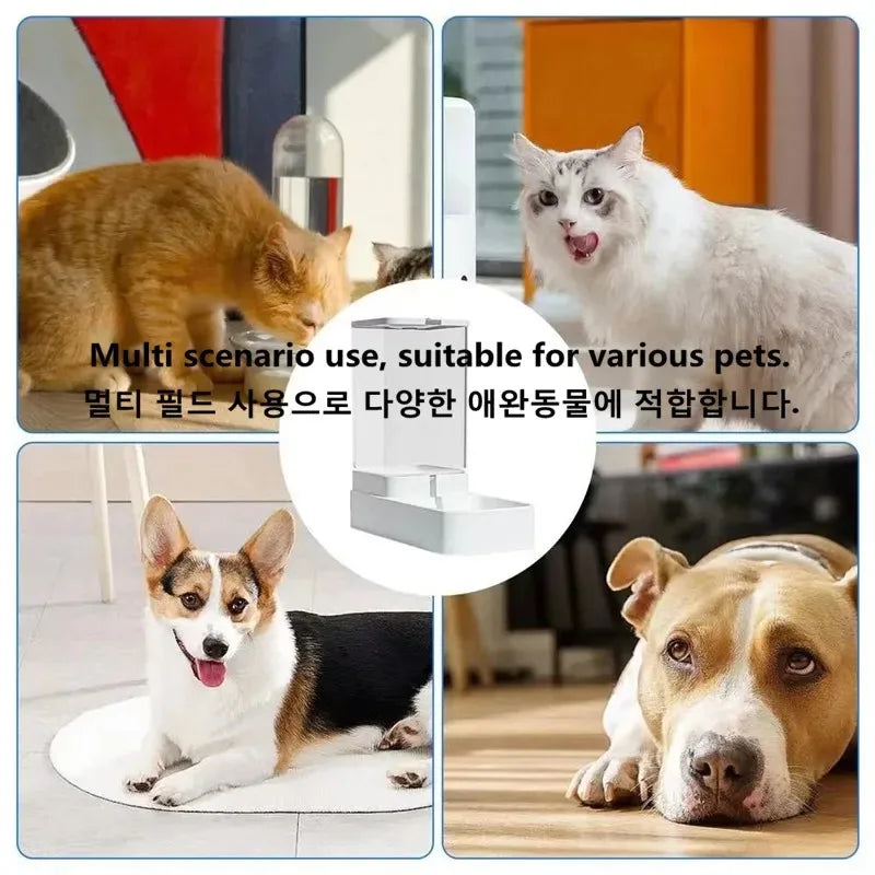 Automatic Pet Food & Water Dispenser