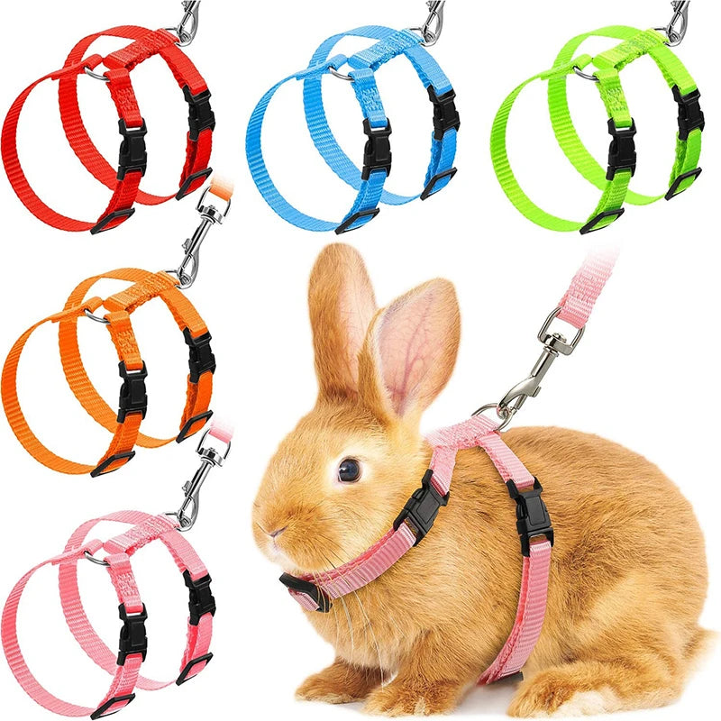 Adjustable Pet Harness & Leash Set