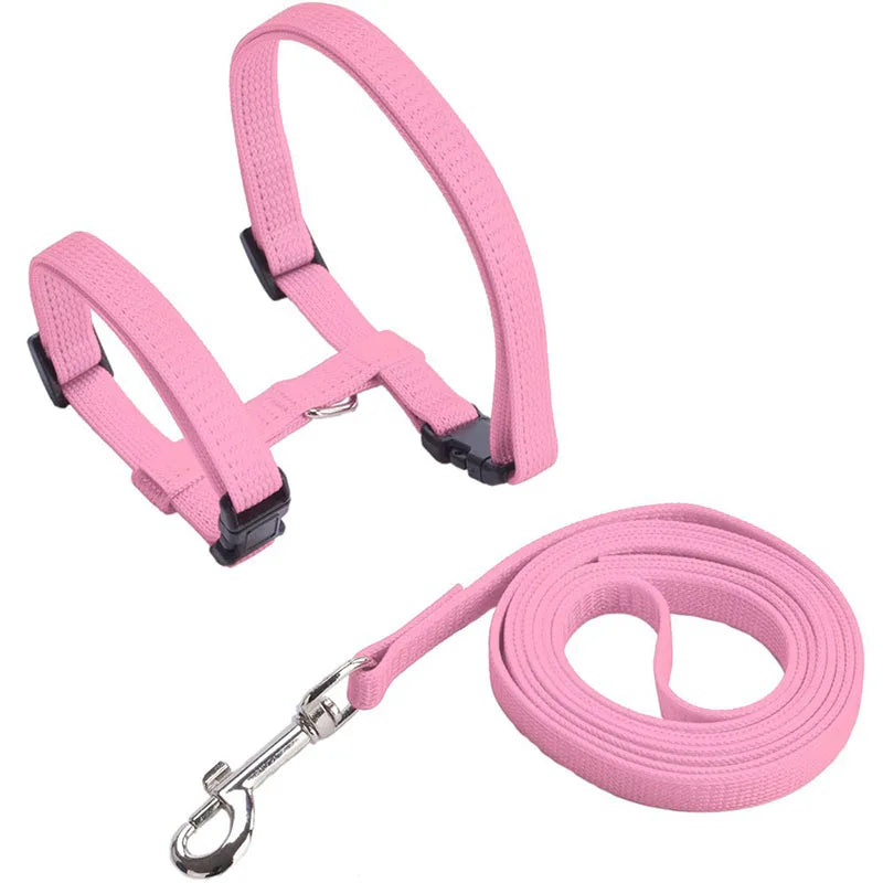 Adjustable Pet Harness & Leash Set