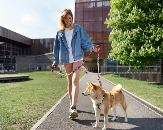 The Ultimate Guide to Choosing the Right Pet Harness