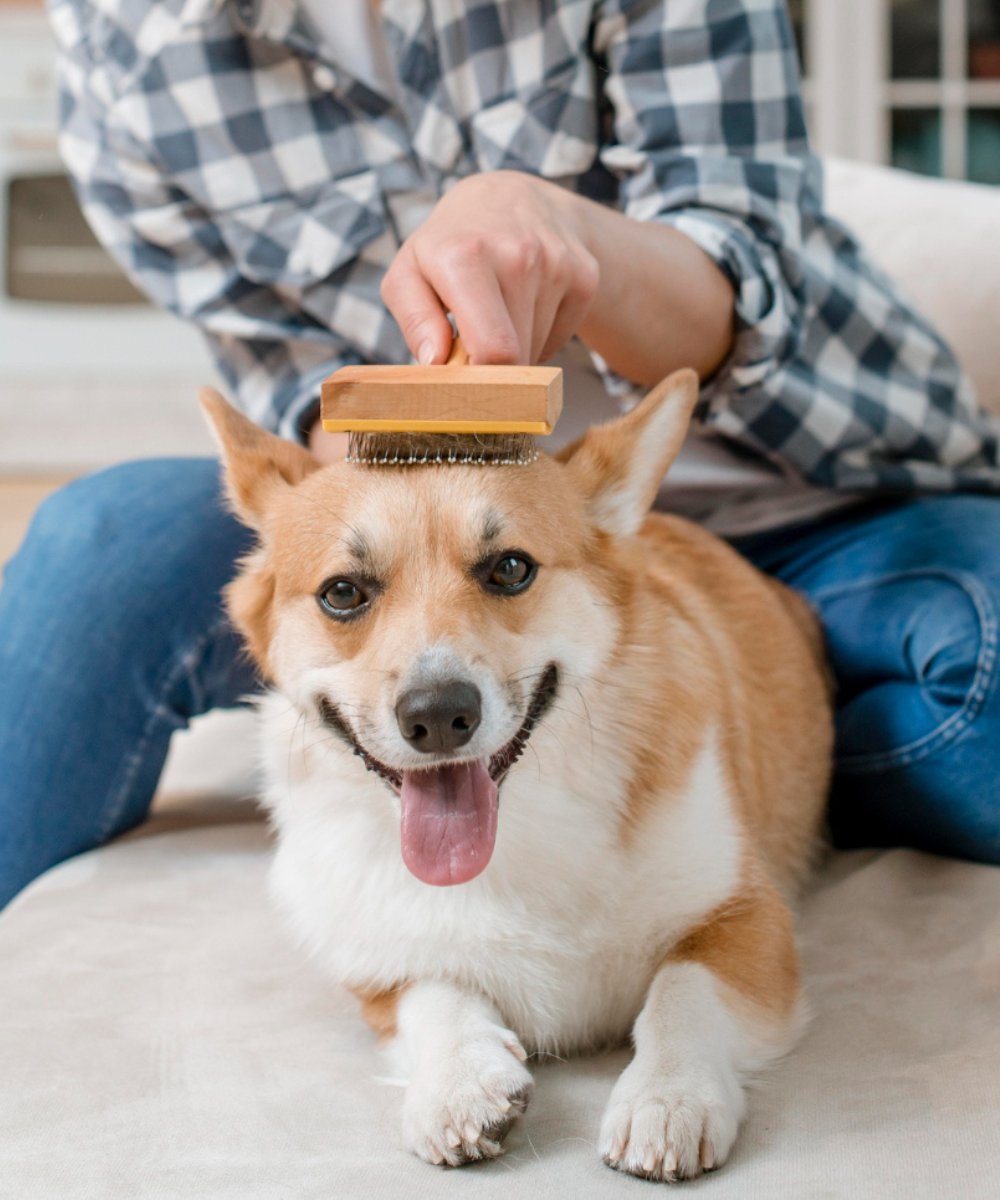 Pet Grooming