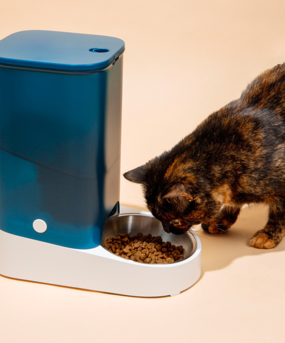 Litter & Housebreaking