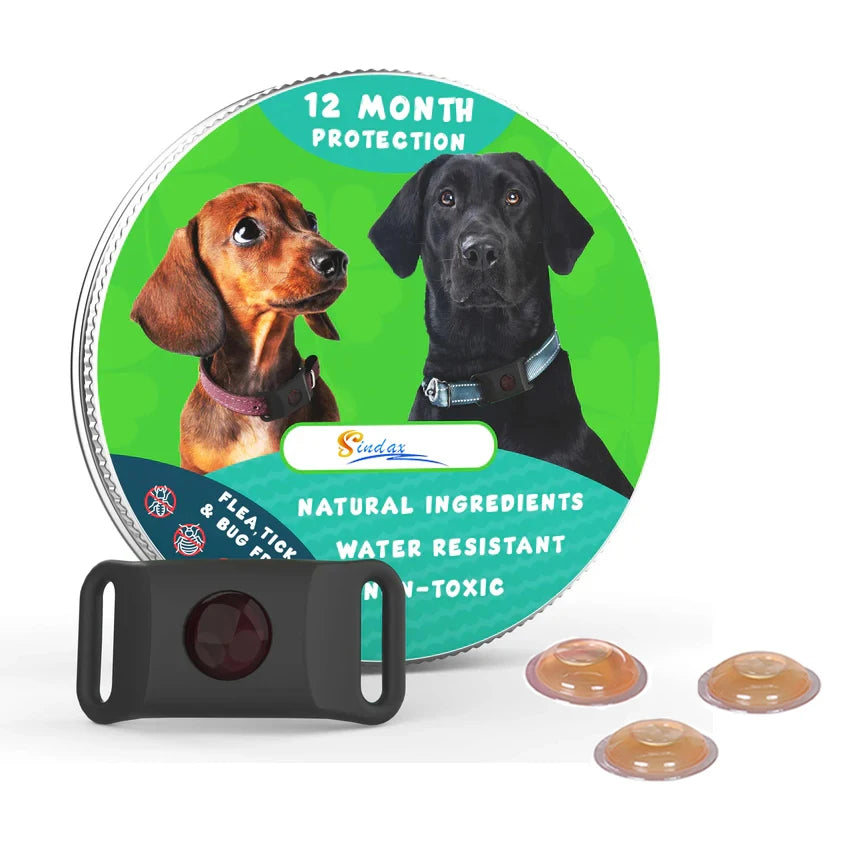 Essential Oil Anti-Flea Pet Pendant