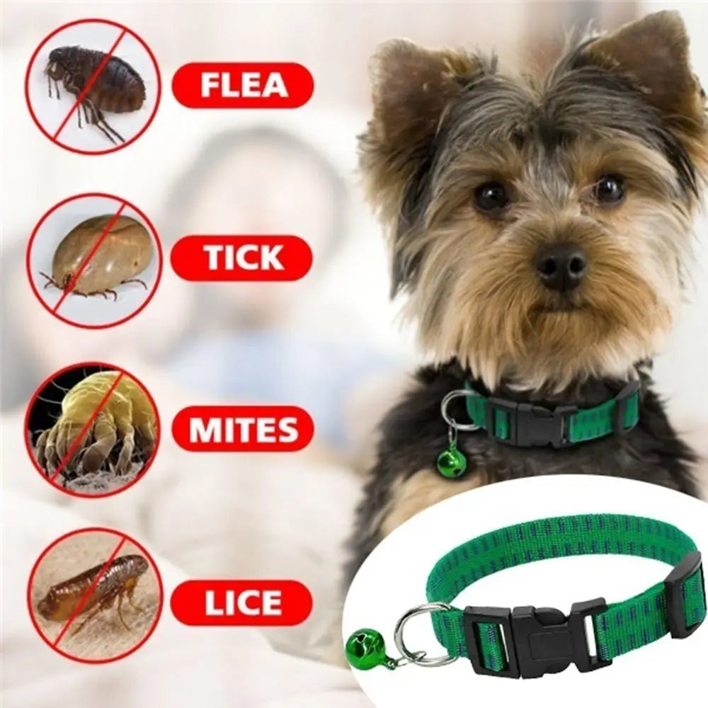 Adjustable Anti-Flea & Tick Dog Collar
