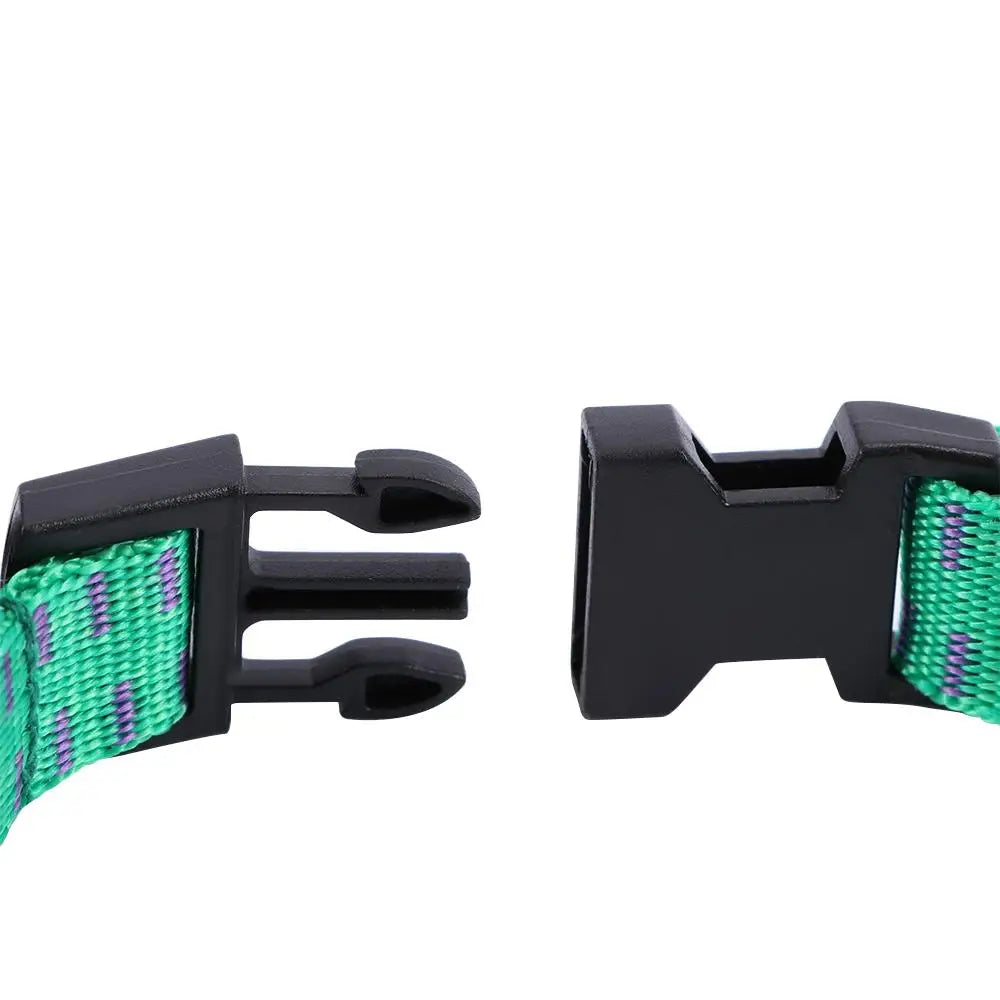 Adjustable Anti-Flea & Tick Dog Collar
