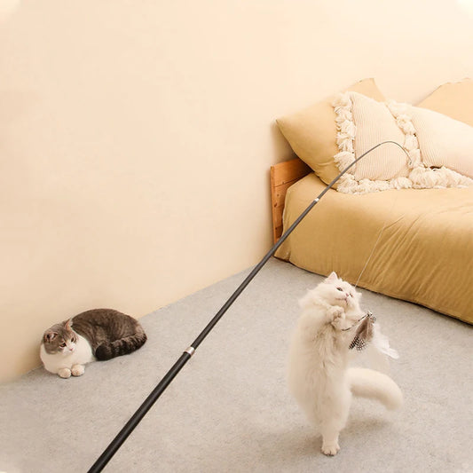 Extra Long Telescopic Cat Teaser Stick