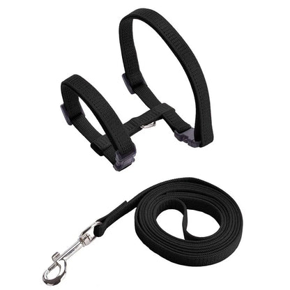 Adjustable Pet Harness & Leash Set