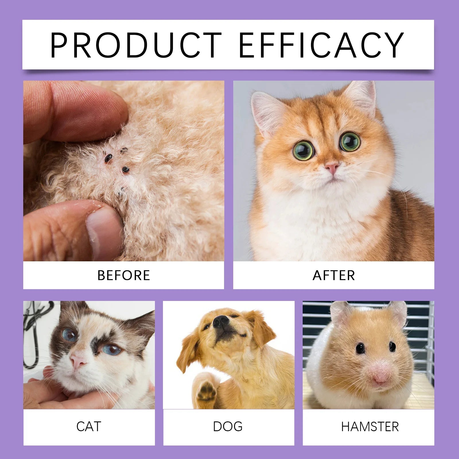 Flea & Tick Prevention Pet Spray