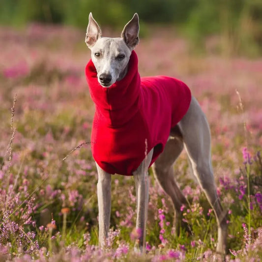 Fleece Turtleneck Dog Vest