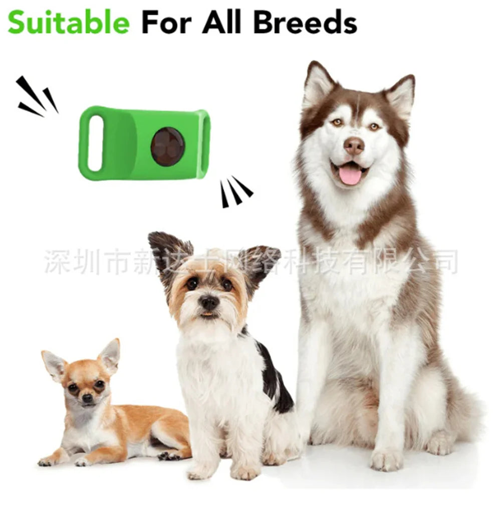 Natural Flea & Tick Pet Collar