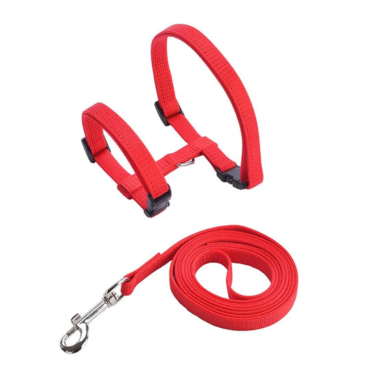 Adjustable Pet Harness & Leash Set