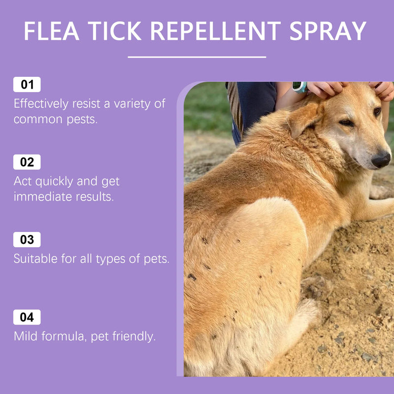 Flea & Tick Prevention Pet Spray