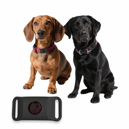 Essential Oil Anti-Flea Pet Pendant