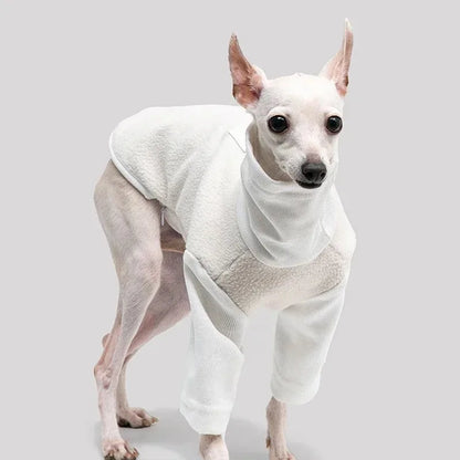 Reversible Winter Jacket for Greyhounds