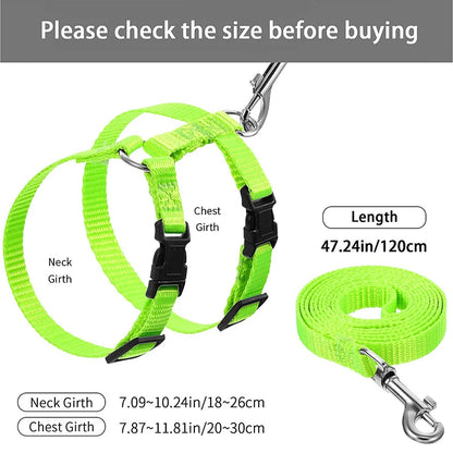Adjustable Pet Harness & Leash Set