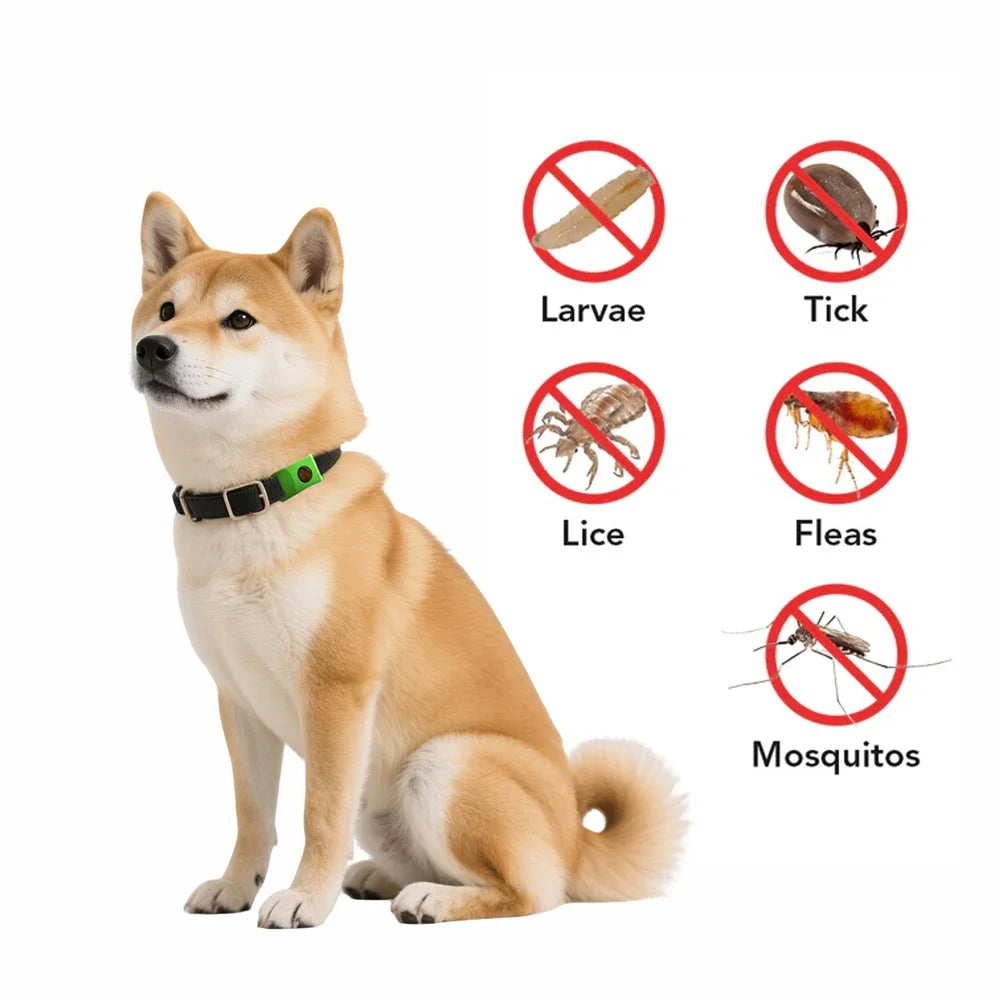 Essential Oil Anti-Flea Pet Pendant