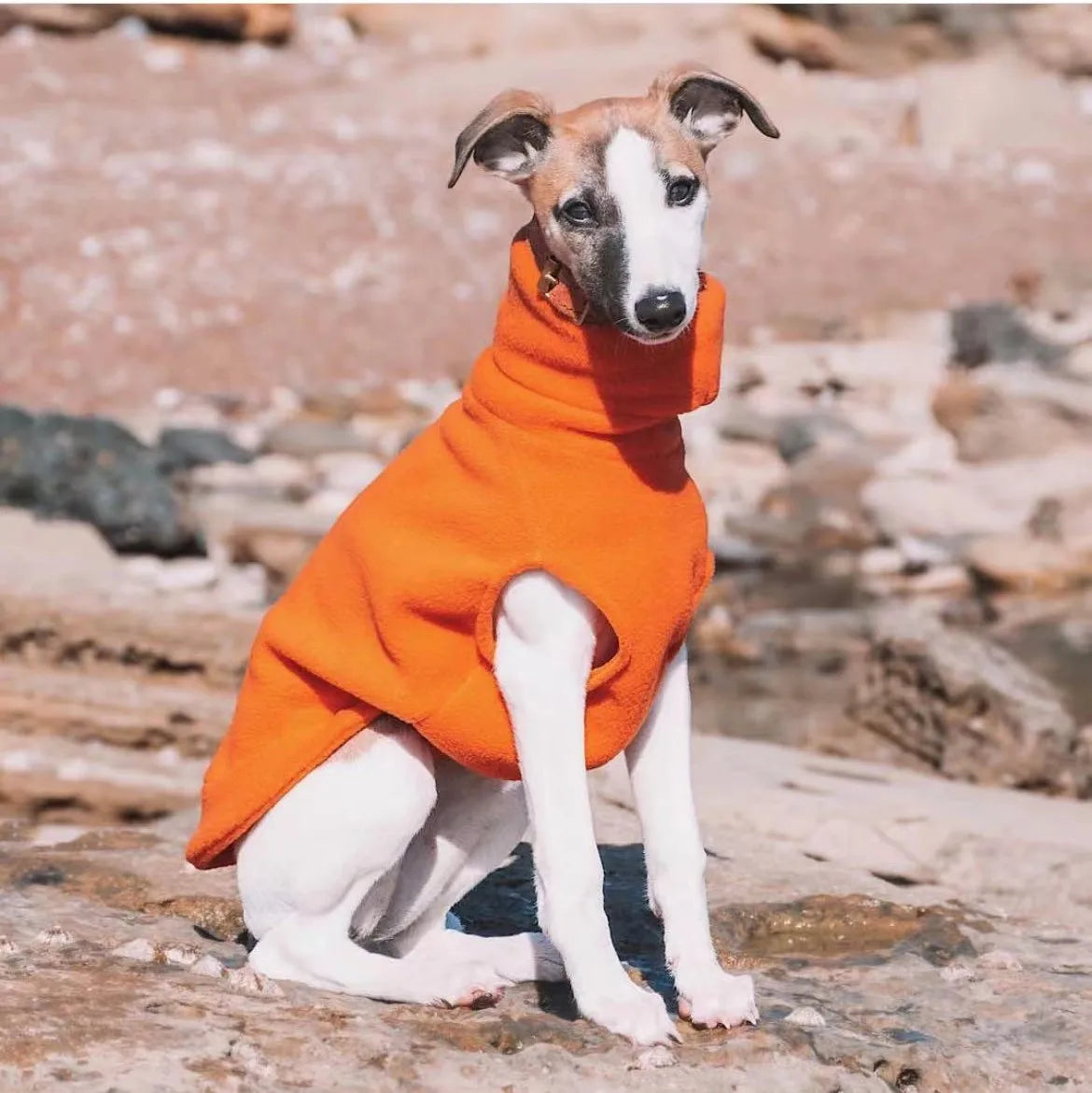 Fleece Turtleneck Dog Vest