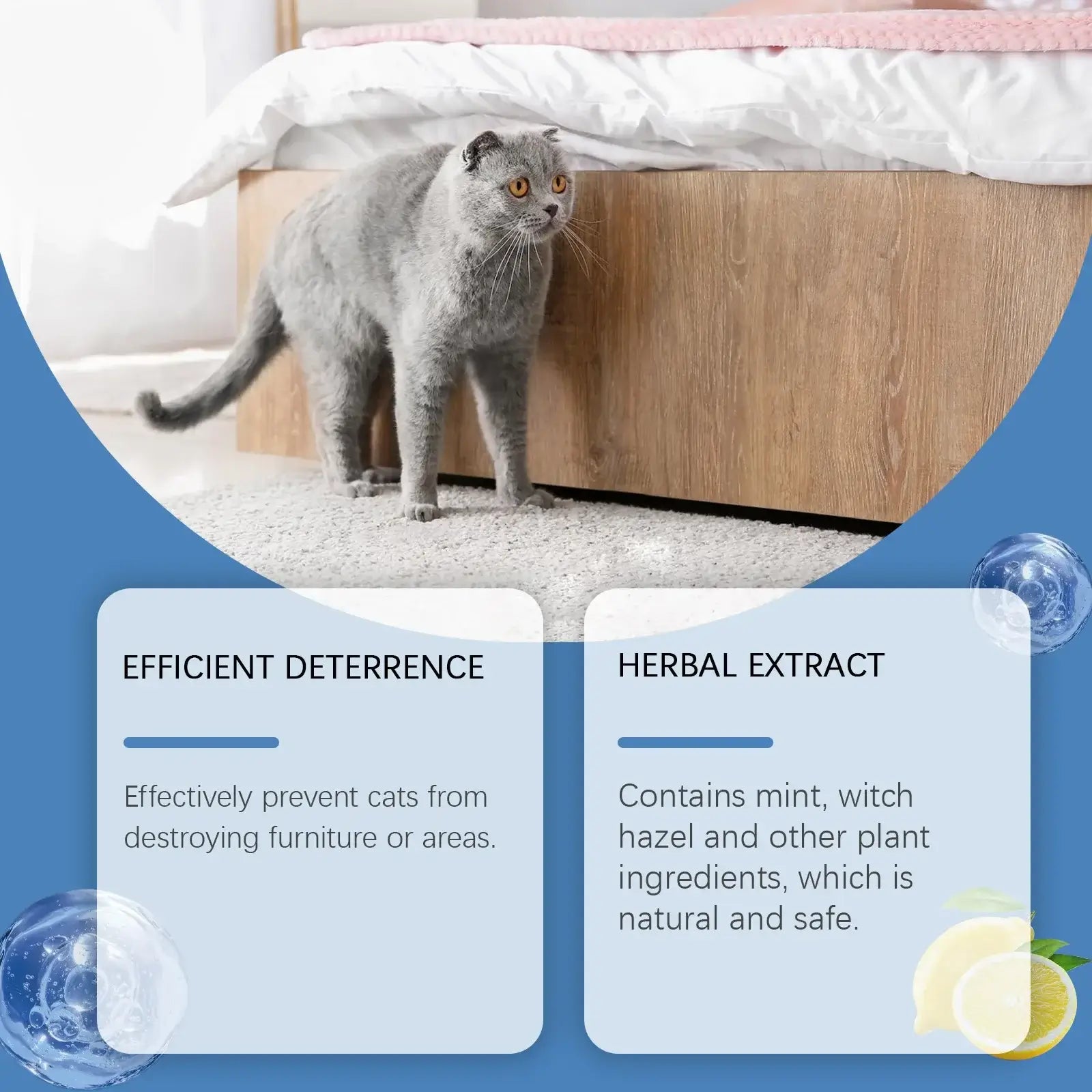 Pet Anti-Scratch Training Spray
