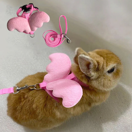 Angel Wing Pet Harness Leash Set