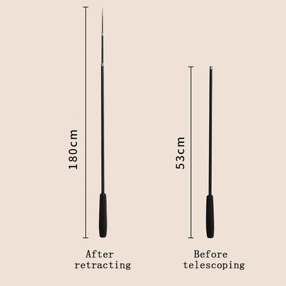 Extra Long Telescopic Cat Teaser Stick